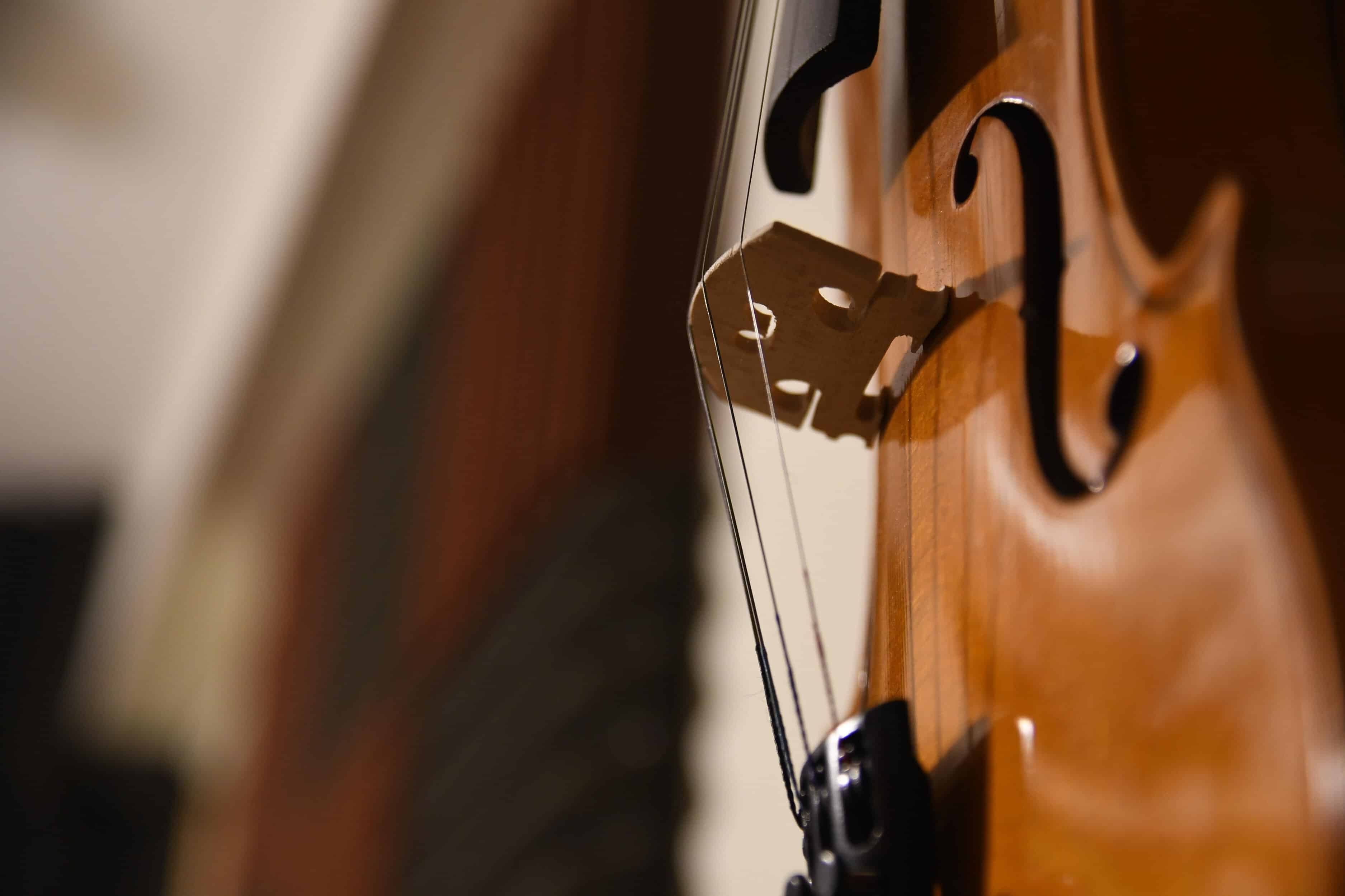Book The Orchestra